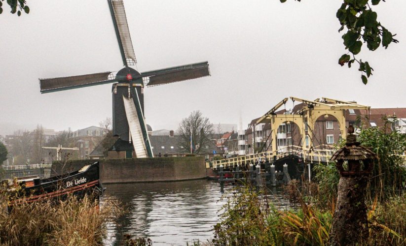 De 8 beste boksscholen in Leiden